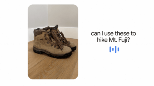 can-I-use-these-to-hike-Mt.Fuji
